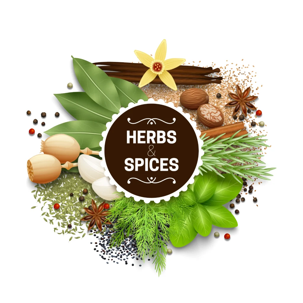 10 Potent Spices and Herbs from Ayurveda with Health Benefits