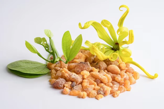 Boswellia: A Versatile Herb with a Long History of Use